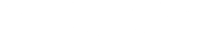 WARRIOR OF THE MIND logo